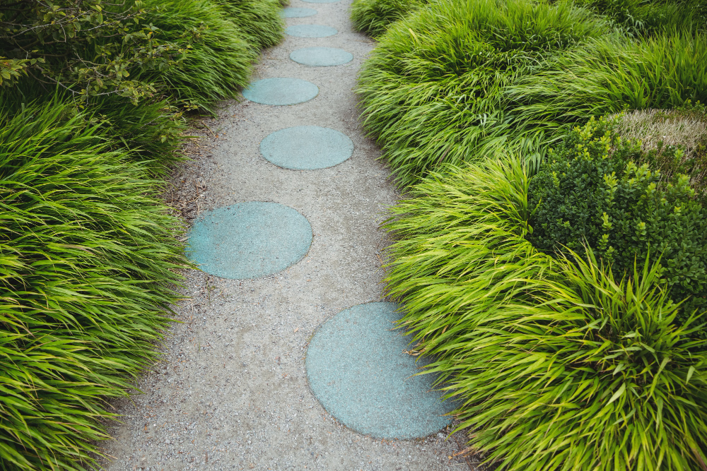 Why gardeners extend the treatment through November