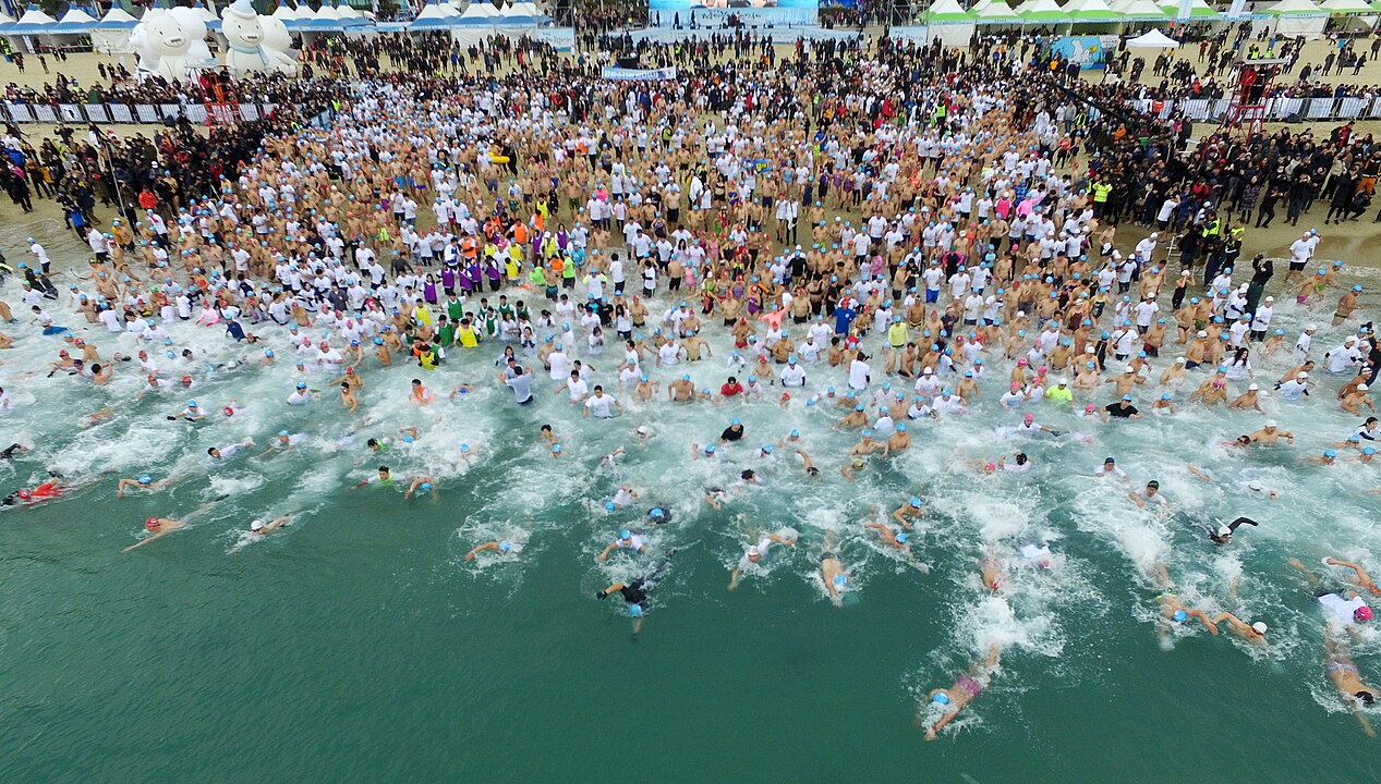 Polar Bear Plunges