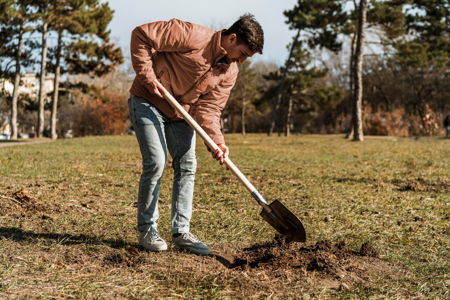 Making Big Landscape Changes Without a Plan
