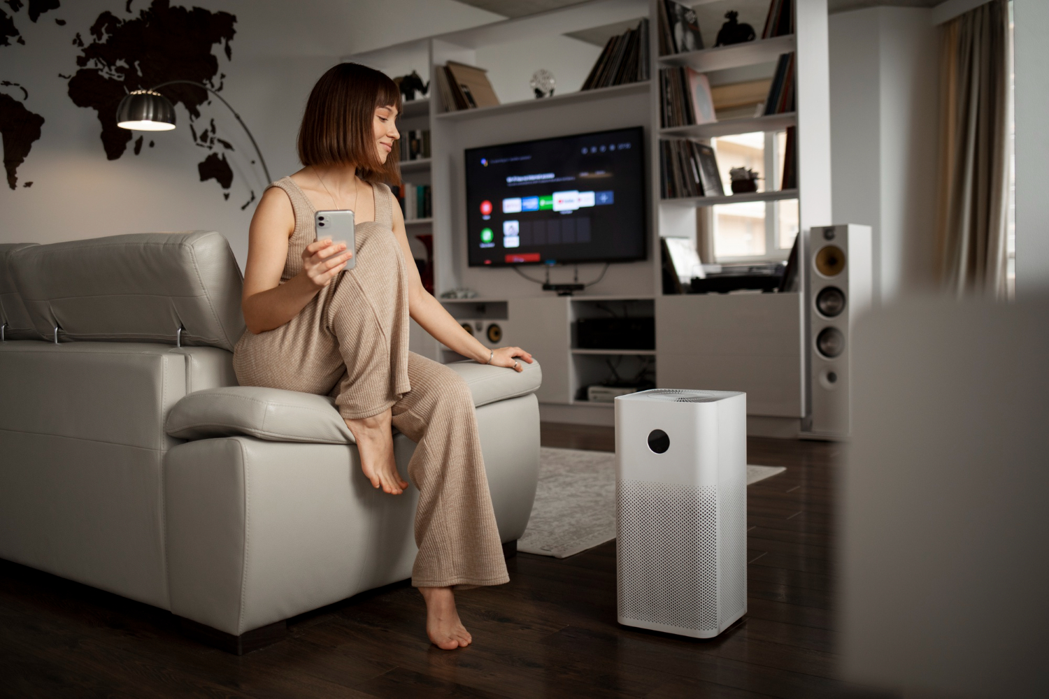 Window Or Portable Air Conditioners