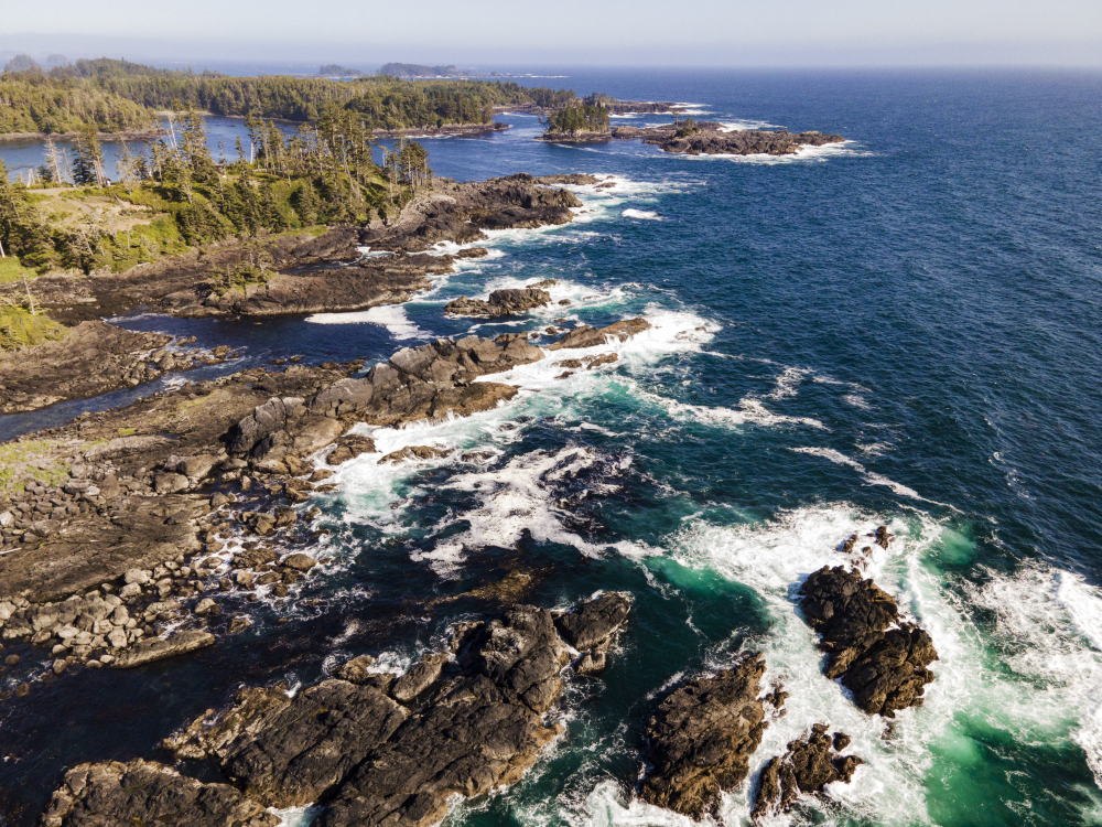 Cutler Coast Public Reserved Land, Maine