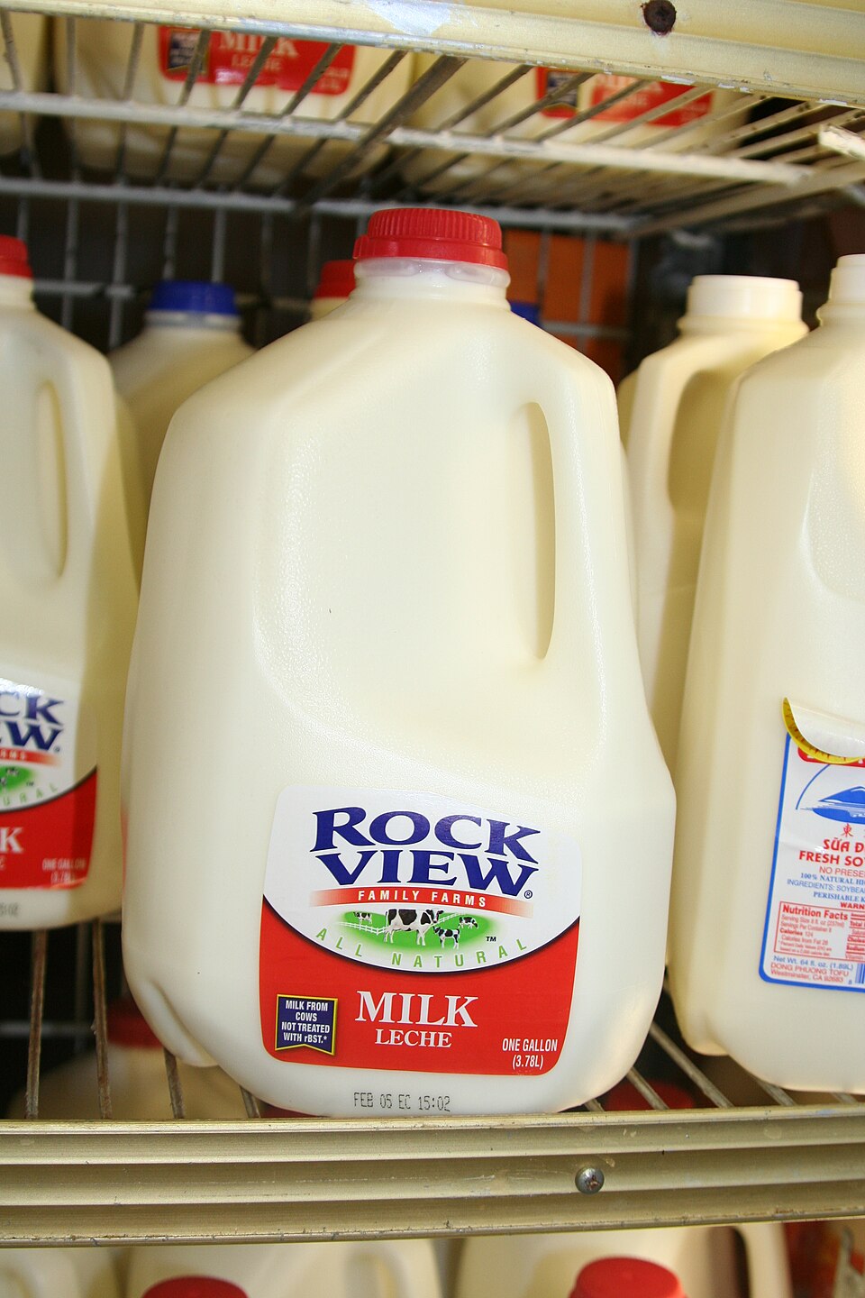 Gallon Milk Challenge