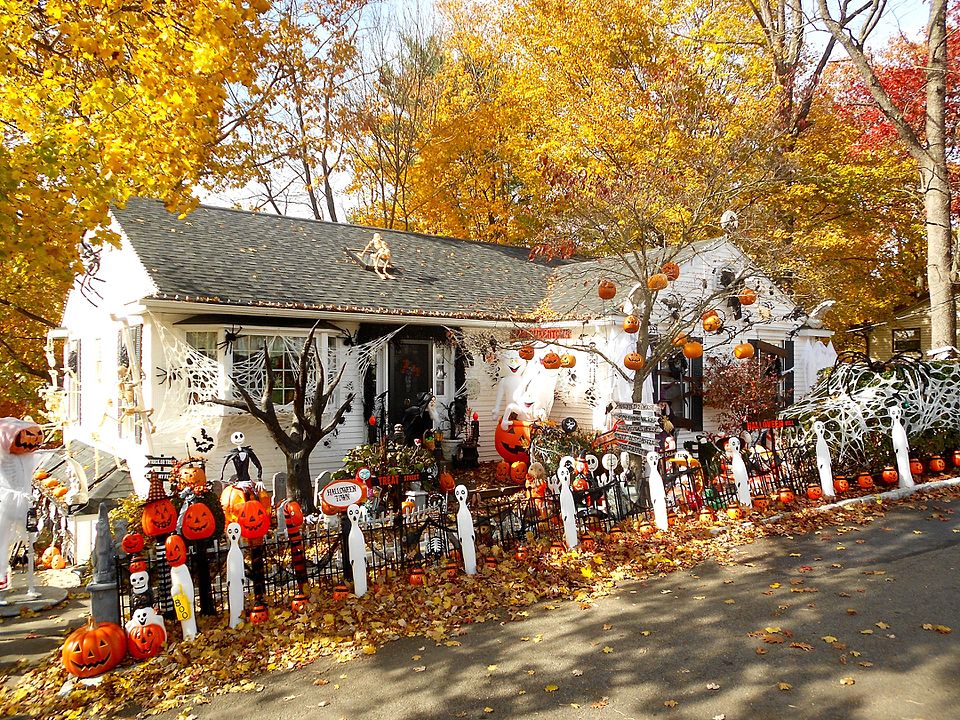 It’s More Than Just Pumpkin