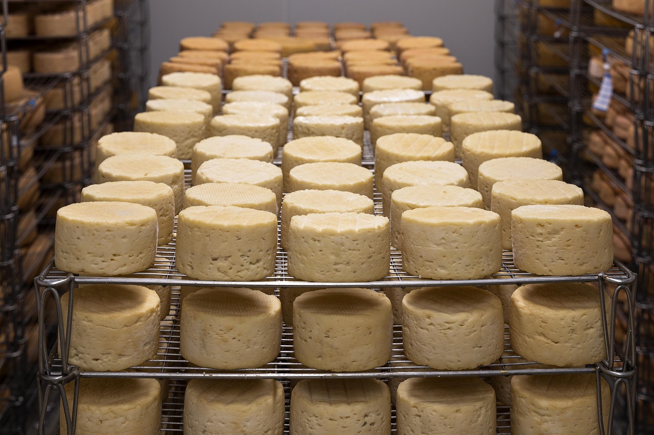 Stinky Cheese Rebuffed
