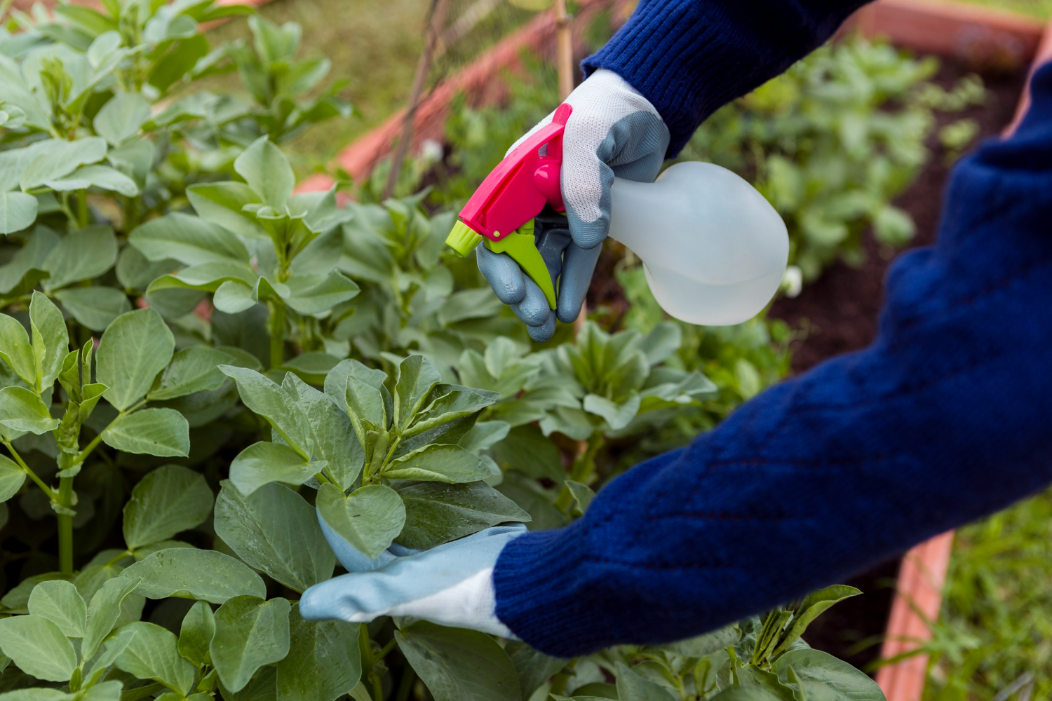 Misusing Pesticides or Herbicides Near Water