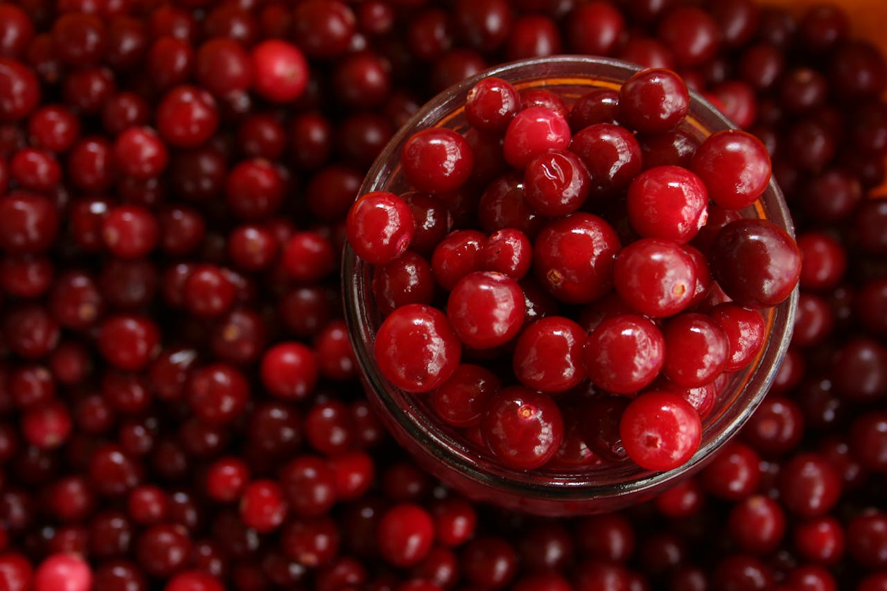 Warrens Cranberry Festival