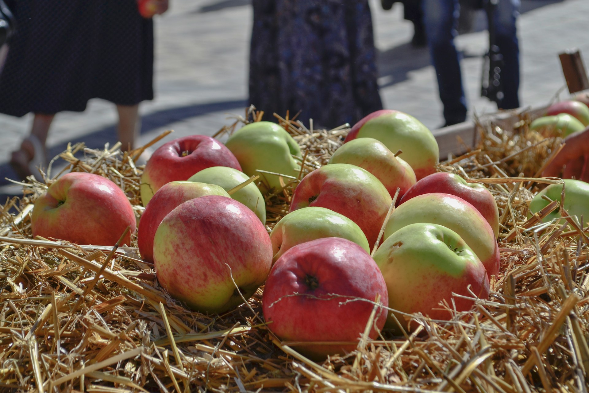 The National Apple Harvest Festival, Pennsylvania
