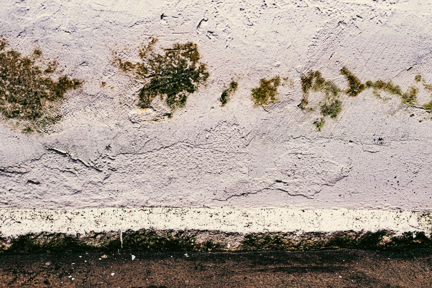 Mold Tracking Exterior Walls