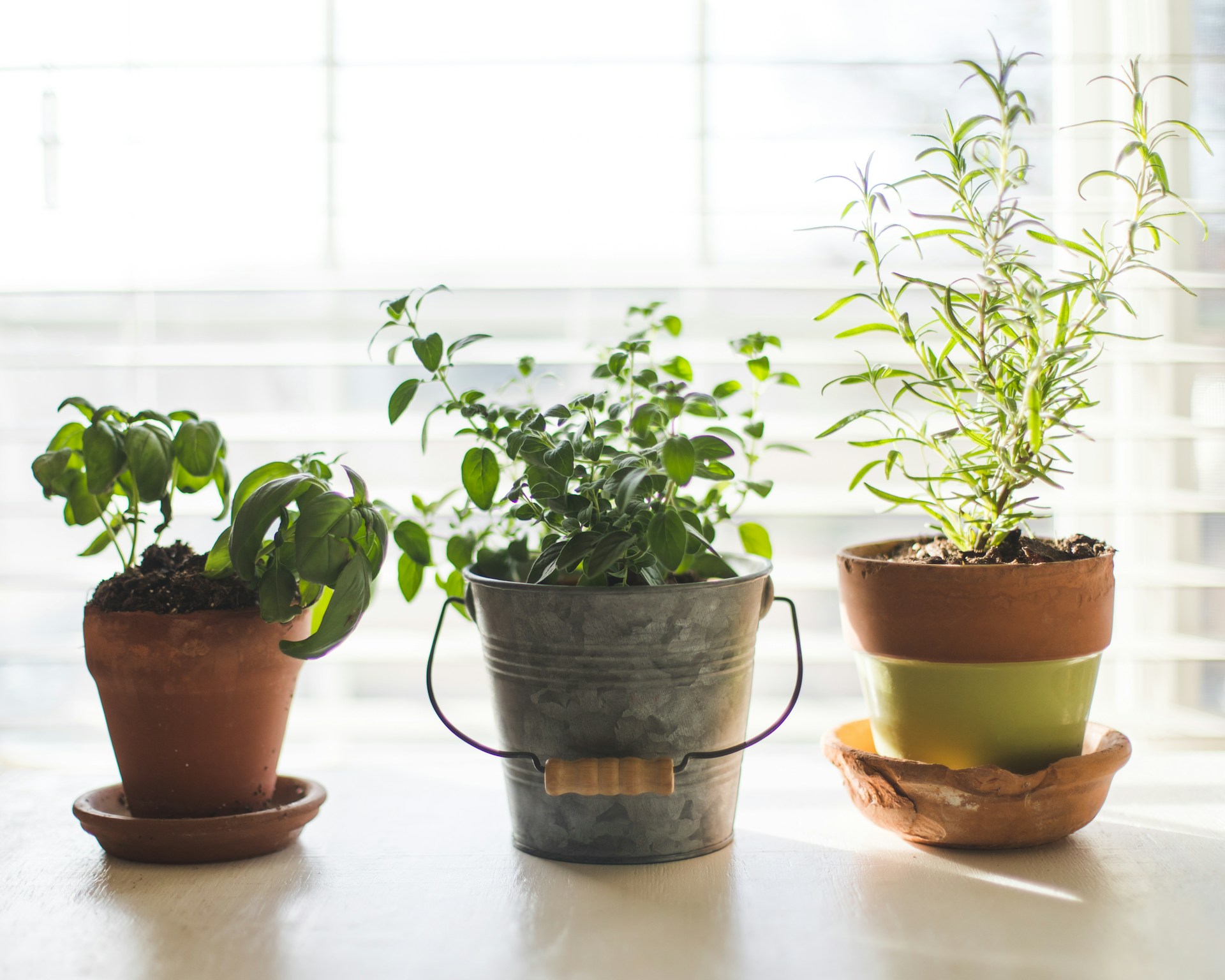 Gifts That Linger Or Leave A Mess