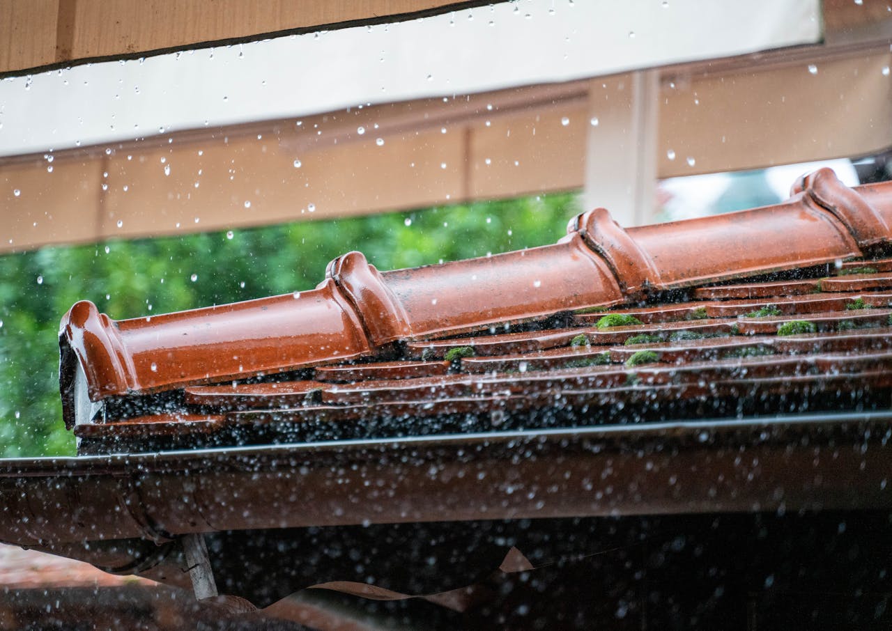 Rusted or Leaking Gutters