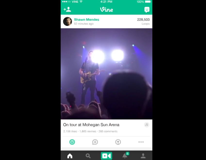 Vine