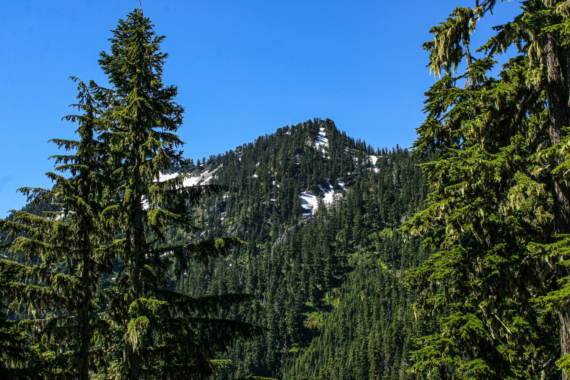 Index, Washington