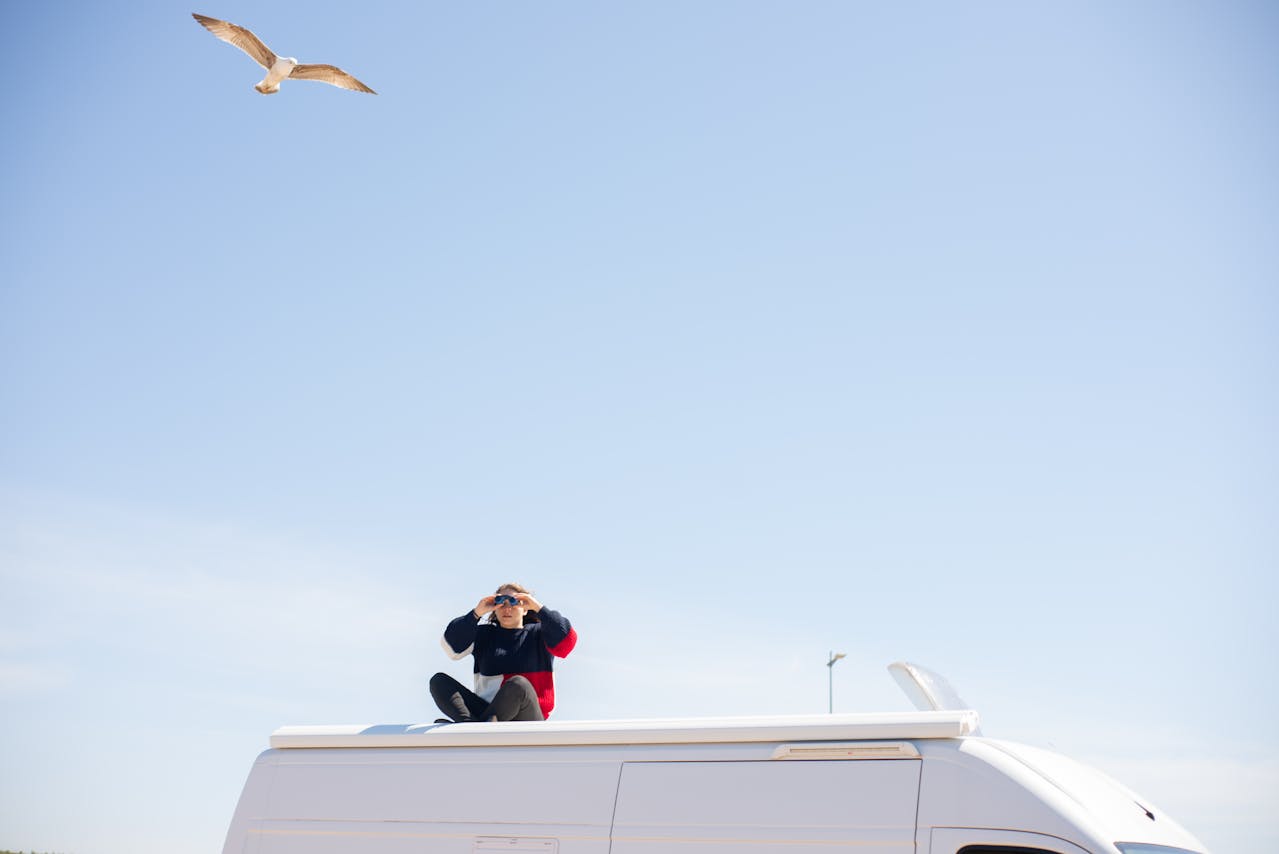 People watching Massive bird migration