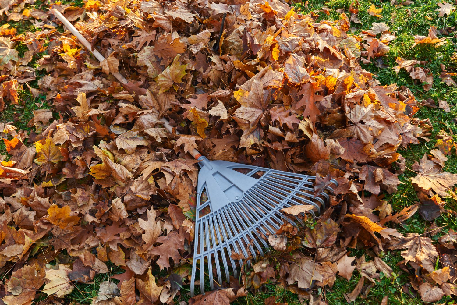 Blowing Leaves or Grass Into the Street