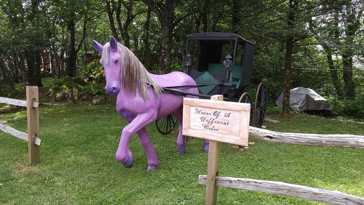 Land of Oz, North Carolina