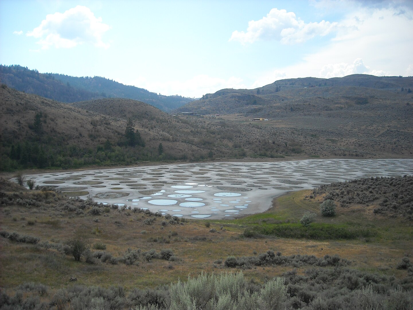 Spotted Lake