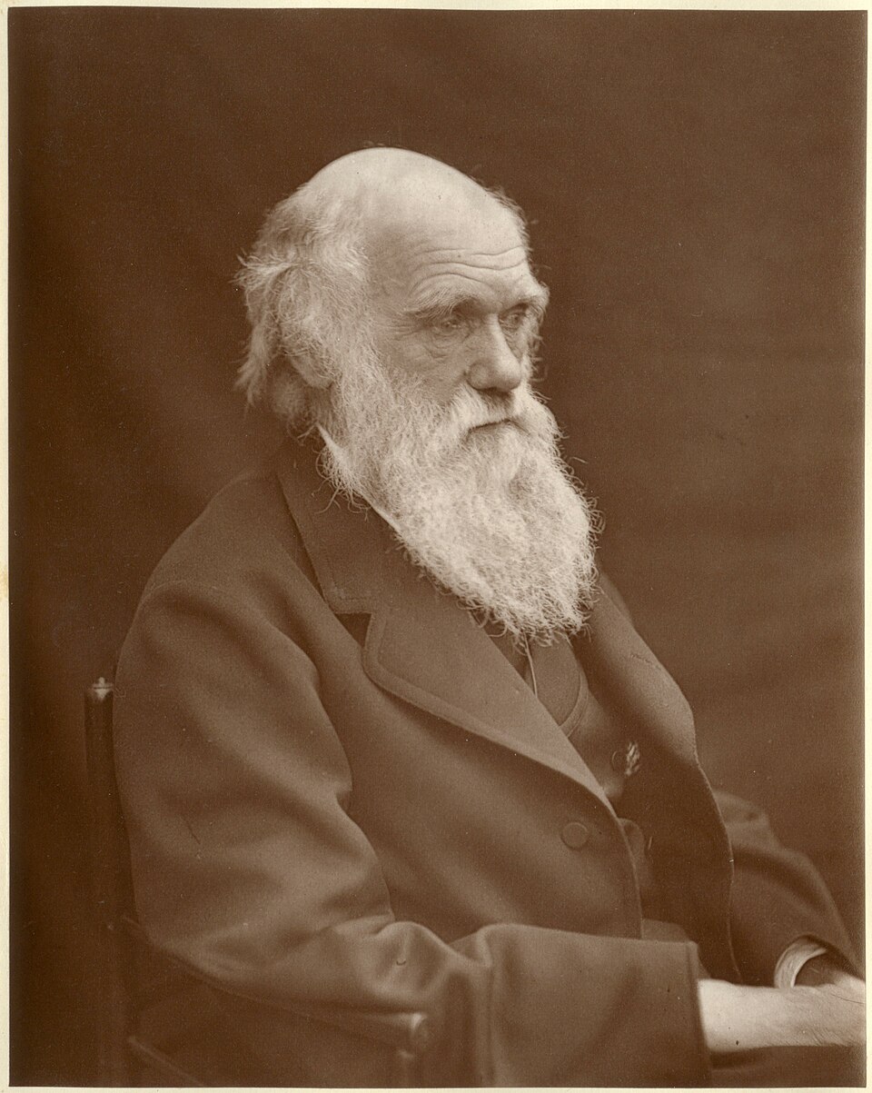 Charles Darwin: Panic In Public Spaces