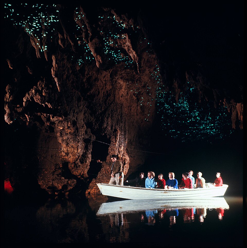 Waitomo Glowworm Cave