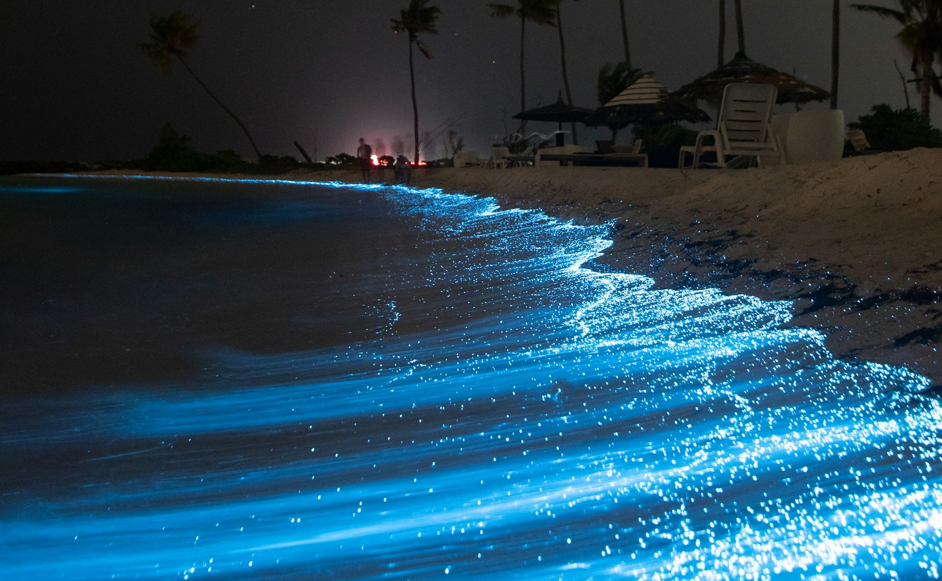 Matsu Islands’ Blue Tears, Taiwan