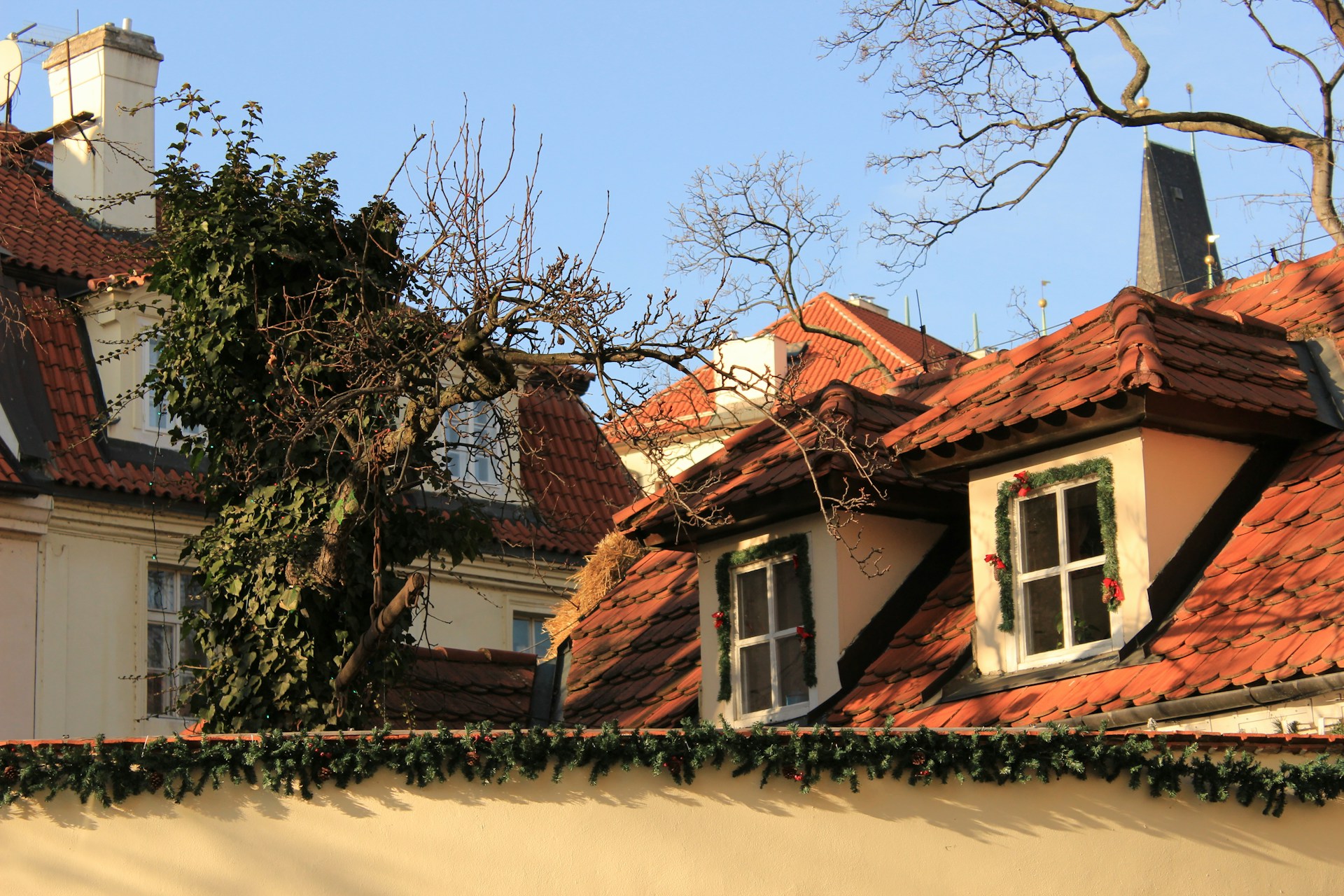 Tree fallen on house roof